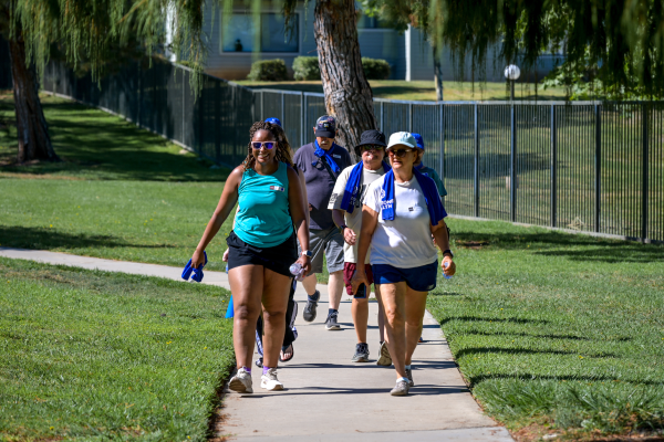 Walk regularly. A 30-minute brisk walk most days delivers meaningful cardiovascular and metabolic benefits. If that feels like too much, start with three 10-minute walks throughout the day.